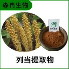 森冉生物 列當(dāng)提取物 草蓯蓉提取物 植物提取原料粉