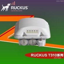 Ruckus T310S室外定向AP優(yōu)科901-T310-WW51戶外工業(yè)級AP