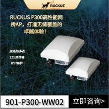 優(yōu)科Ruckus P300 點(diǎn)對(duì)點(diǎn)/點(diǎn)對(duì)多點(diǎn)網(wǎng)橋優(yōu)科P300無線網(wǎng)橋