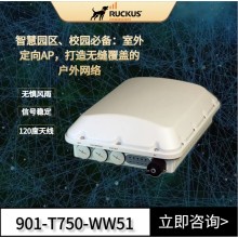 Ruckus戶外AP 優(yōu)科901-T750-WW51室外定向AP企業(yè)級(jí)WiFi6路由器