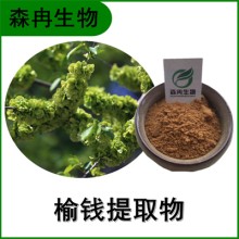 森冉生物 榆錢(qián)提取物 榆實(shí)提取物 植物提取原料粉